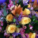 BrightBunch1.jpeg