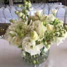 White-Vase-2.jpeg